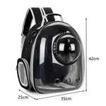 Mochila Transparente Transportadora para Mascotas